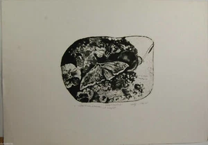 Gravur Radierung Radierung PIACESI WALTER 1971 ZERTIFIKAT GRAPHIS ART - Bild 1 von 3