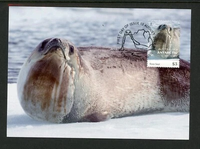 Australian Antarctic AAT 2024 Seals of Antarctica 4v Set of 4 Maximum Cards - Image 1 of 4