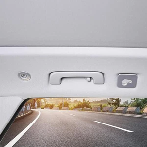 For Audi Q5 2018-2020 Carbon fiber Rear Reading Light Lamp Cover trim - Picture 1 of 22