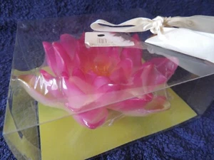 Beautiful candle- flower Diaphano N. Erythraia Greece new in the box - Picture 1 of 10