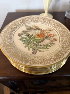 Lenox Beohm Bird Plates Set Of 8 Fantastic Beautiful Look - Picture 1 of 18