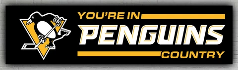 Pittsburgh Penguins You're in Penguins Country 60x240cm 2x8ft Hockey Best Flag Cover