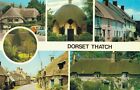 Dorset Thatch : Vintage Postcard