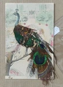 UCCELLO BIRD-CARTOLINA CON PIUME REALI-D17-149 - Picture 1 of 1