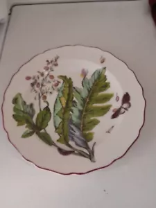 Mottahedeh ~ exotische Pflanze ~ Sir Hans Sloans Gemälde auf Chelsea Porzellan ~ MMA - Bild 1 von 7