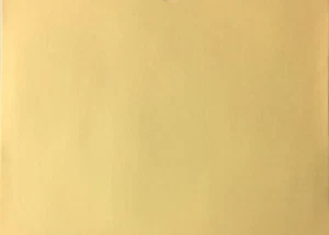 Vehicle Deal Jacket Blank 100 Qty. - Picture 1 of 24