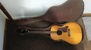 Guitarra Tenor Harmony Sovereign de Colección Tapa Sólida Proyecto H-1201 TG con Estuche de Periodo - Imagen 1 de 9