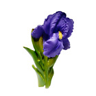 Botanic Refrigerator Magnets Flower Iris Germanica Souvenir Memo Holder Kitchen