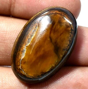 35.20 Ct Natural Tiger's Eye Cabochon AAA+ Beautiful Gemstone - Picture 1 of 4