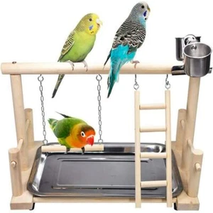 Parrot Playstand Bird Playground Wood Perch Gym Stand Playpen Ladder with Toys - Picture 1 of 8