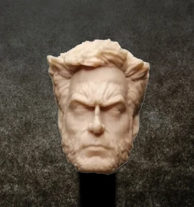 010 WOLVERINE - Custom resin headcast - Picture 1 of 4