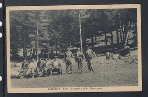 Cartolina Catanzaro Sila Trepidò Bosco Pineto ANIMATA TB29 - Imagen 1 de 1