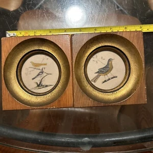 2 Antique Miniature wooden Frame Deep Round/square with glass Bird Pictures - Picture 1 of 9