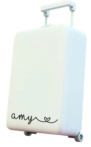 Pretty Personalised Name Vinyl Sticker for Suitcase Luggage Bag Holiday Plane - Picture 1 of 4