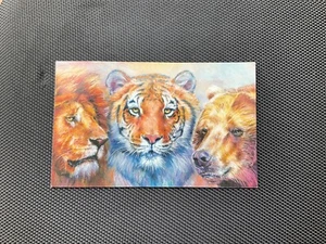 Lions & Tigers & Bears - Deb Hoeffner Vinyl Flat Refrigerator Magnet 4 x 2.5” - Picture 1 of 2