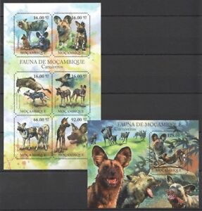 Mozambique 2011 MNH Odd Shape Stamps, Wild Dogs, Animals  