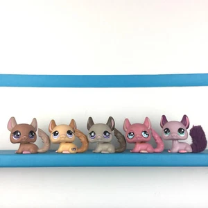 Authentic 5 Littlest Pet Shop Lot Chinchilla / LPS Set - Foto 1 di 3