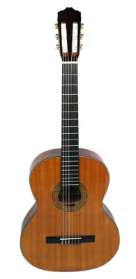 Axiom Segovia Solid Cedar Top Classical Guitar Professional Quality Nylon String - image 1 of 4