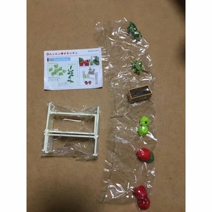 Correa - Imagen 1 de 1