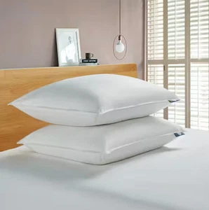 Serta Back-Sleeper White Goose Feather & Down Fiber Pillows, Jumbo, PK2 - Picture 1 of 4