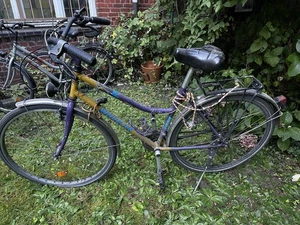 Wheeler Damenrad Gebraucht und Überholungsbedürftig - Bild 1 von 1