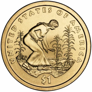 Dólar nativo americano 2009 P Sacagawea brillante sin circular sin circular bu moneda de 1 dólar - Imagen 1 de 1