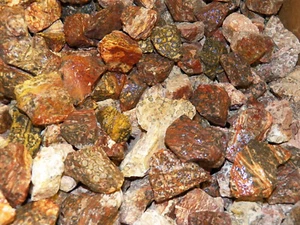 5 lb Leopardskin Jasper Rough Tumbling Rock from South Africa - Picture 1 of 2