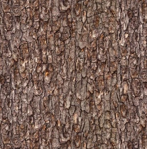 Elizabeth Studio Reddish Brown Tree Bark Cotton Quilt Fabric by the Yard - Picture 1 of 3
