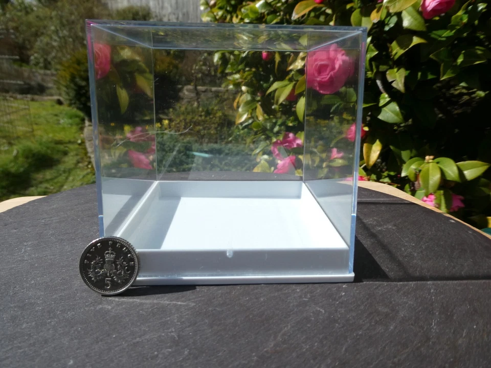 Large Perspex Clear Lid Square Fossil Specimen Gem Display Box 8cm x 8cm 2/5/10