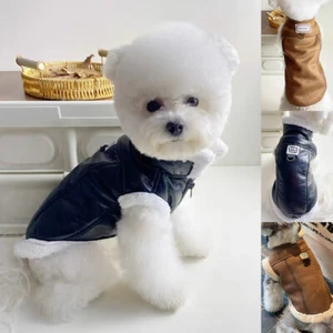 Chaqueta de cuero Fart Dog invierno caliente Chihuahua cachorros Reino Unido chaqueta de cuero 18 - Imagen 1 de 19