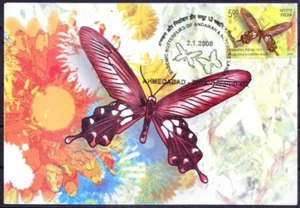 India 2008 Maxi Card, Butterflies, Andaman Clubtail Pachliopta Rhodifer (Male) - Picture 1 of 1
