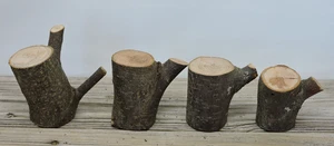 4 Apple Wood Log Chunk Pillar Craft Live Edge Crotch 1 3/4~2 1/8"D 3"L - Picture 1 of 12