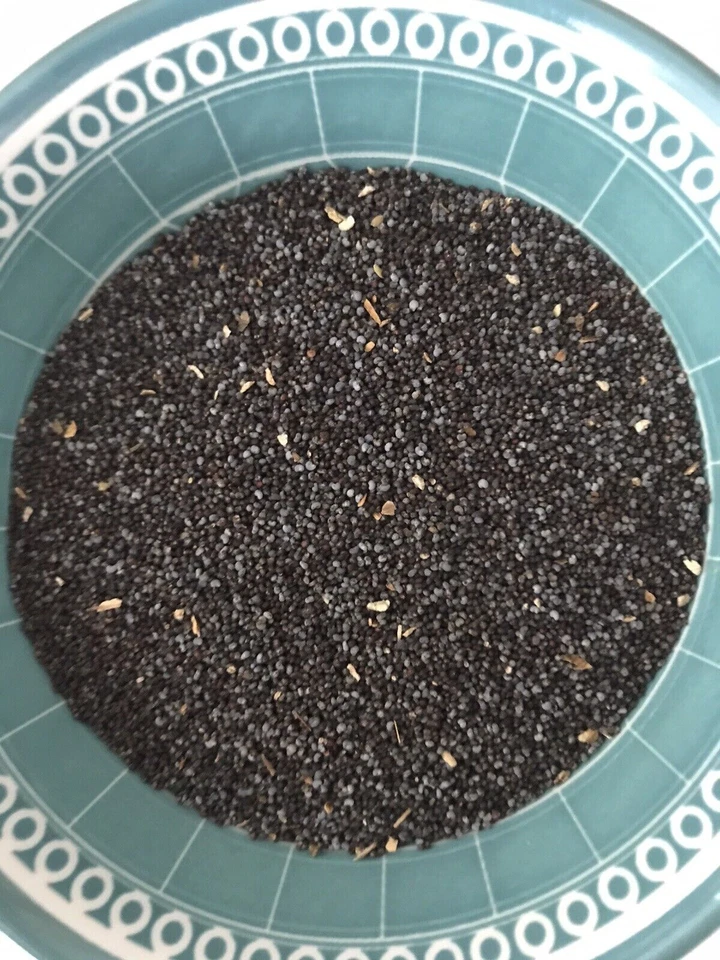 PRIORITY SHIPPING 3 Pounds UK 🇬🇧 Papaver Poppy Seeds Excellent Priority - Image 1 of 1