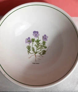Viola Cenisia Leopoldo Piezi Hecho en Italia - Imagen 1 de 5