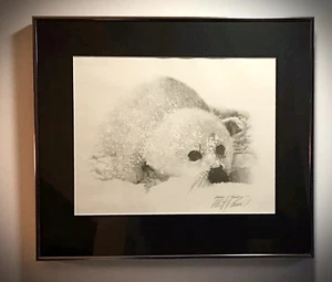 Beautiful Framed Baby Snow Seal Print Signed By Albert J Casson Wildlife Artist - Picture 1 of 7