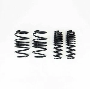 RS-R Down Sus Springs for 2020 Toyota Supra (A90) - Foto 1 di 3