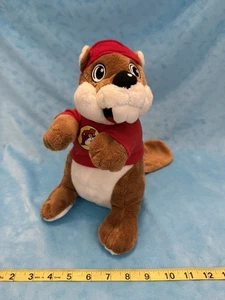 🌟SOFT Buc-ee's 10" Peluche Castor Texas Gasolinera Mascota Peluche Bucees - Imagen 1 de 15