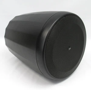 Altavoz colgante compacto de gama completa JBL C65P/T - NEGRO - Imagen 1 de 4