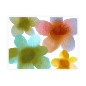 Leinwanddruck auf Papier Poster oder Gemälde Carlson Hannah Floral Friends I - Bild 1 von 2