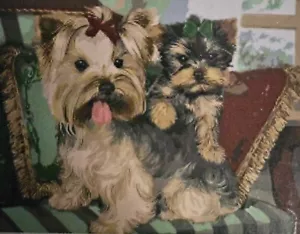 Paint by Number 40cm x 50cm Unframed 2 Terrier Dogs - Bild 1 von 4