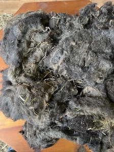 Vellón islandés muy bonito, crudo sin lavar, sin falda, 2,5 libras - Imagen 1 de 11