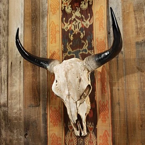 Design Toscano Long Horn Steer Wall Trophy 25" W X 25.5" H - Picture 1 of 2