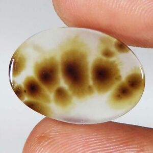 6.90 CT 100% Natural Scenic Dendritic Agate Cabochon 13x18x2 mm Gemstones Ce_453