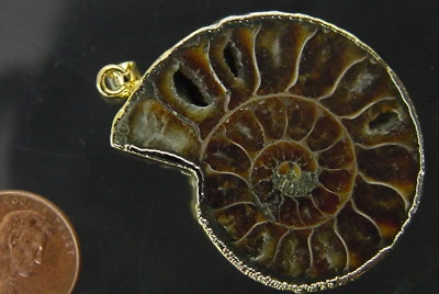 PERO Oro Electroformado Amonita Nautiloide Fósil Colgante Collar Joyería 7157P Foto 1 de 3