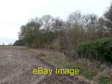 Photo 6x4 Edge of Wall Covert, Knettishall Fen Street/TL9879 View south  c2008