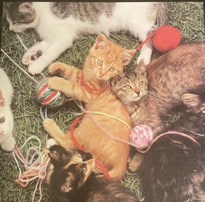 Vintage 1983 Hoyle 500 Puzzle Kittens Rare Original Animals Feline Cat Colorful - Picture 1 of 5