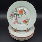 Limoges Raynaud - 6 Dinner Plates Porcelain Model Company Indies