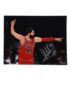 Nikola Mirotic Autografo Chicago Bulls 11x14 PSA DNA Holo! - Foto 1 di 1