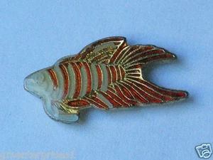 Beta Fish Pin Pin Badge - Picture 1 of 1