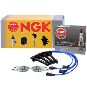 For Honda CRV Integra NGK Japan Blue Spark Plug Wire Set w/ Plugs - Picture 1 of 1